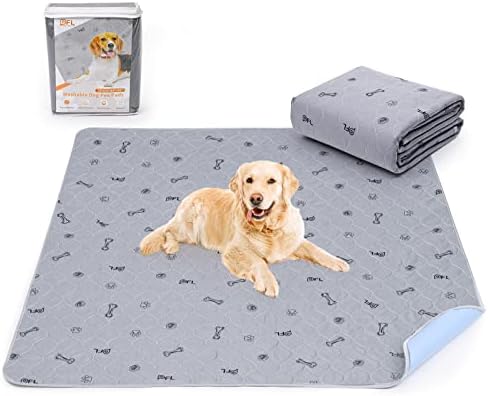 I Love Dog Wash Reus Autolavado De Mascotas